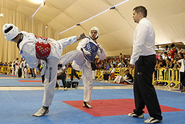 Ireno Fargas en el stage mundial de Taekwondo de Marina d’Or