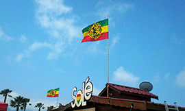 Fiesta solidaria en el chiringuito Solé Rototom Beach