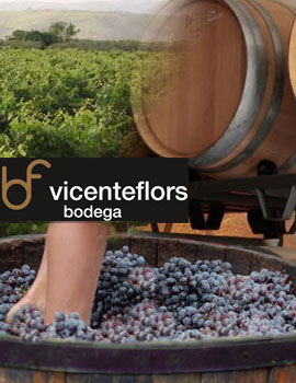 Vive la experiencia de pisar las uvas en la bodega Vicente Flors