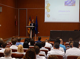 Nuevas herramientas formativas para poner en valor el aceite de la provincia de Castellón