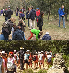 Vive la Naturaleza en la colonia Seidia de la Fundación Caja Castellón