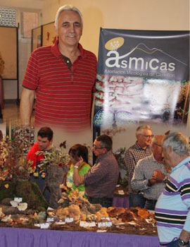 Exposición de setas ‘El Pinar’ de la  Asociación micológica de Castellón