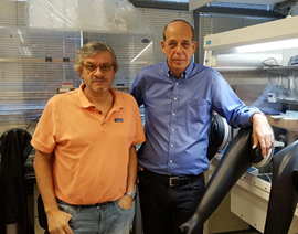 Una investigación de la UJI mejora el conocimiento de la variabilidad de la perovskita para su uso en células fotovoltaicas más eficientes y económicas