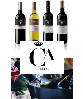Los mejores vinos y los mejores quesos en el Real Casino Antiguo de Castellón