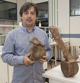 Se encuentran en el Portell los fósiles más antiguos de dinosaurios de Castellón