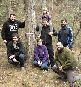 Forcall selecciona maio y costelles para la hoguera de Sant Antoni