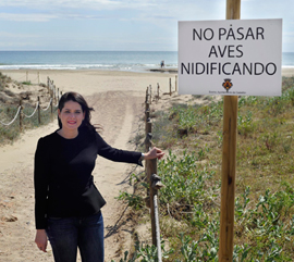 Las dunas de la playa del Serradal se vallan para proteger el Chorlitejo patinegro