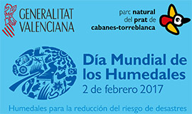 El Parque Natural del Prat de Cabanes-Torreblanca celebra el Día Mundial de los humedales con una suelta de anguilas