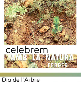 800 pinos serán plantados en el paraje natural de la Magdalena para celebrar el Día del Árbol
