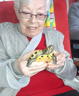 Tobby, la tortuga terapeuta de los mayores de Vilafranca
