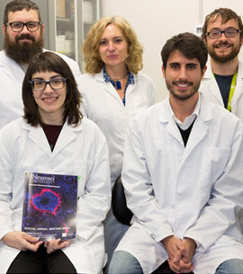La UJI muestra que el cerebelo es crucial para entender la vulnerabilidad a la adicción a drogas