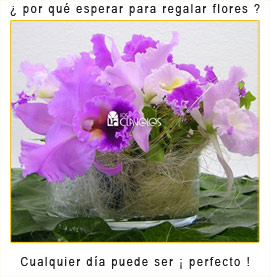 Para regalar flores no necesitas un motivo