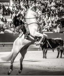 Estampas de la corrida de rejones del lunes de la Feria de Castellón