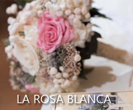 Flores naturales liofilizadas para crear ramos de novia eternos