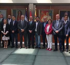 Comisión de Diputaciones de la Federación Española de Municipios y Provincias