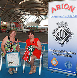 Campeonato de Belleza Canina este fin de semana en Castellón