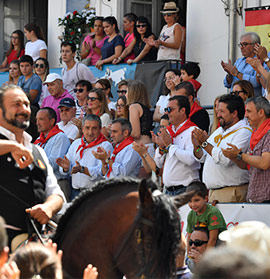 Comienza la entrada de toros y caballos de Segorbe