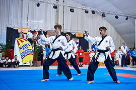El VI Open de Taekwondo de la Comunidad Valenciana llega a Marina d´Or