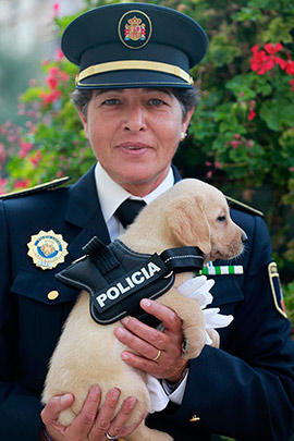 Castellón incorporará un segundo perro policía