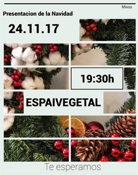 La floristería Espai Vegetal inaugura la decoración navideña de su tienda