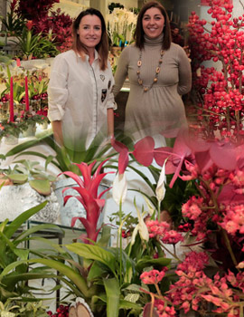 La floristería Espai Vegetal comienza la navidad