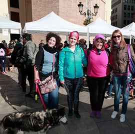 I marcha por la solidaridad y derecho de los animales en Castellón