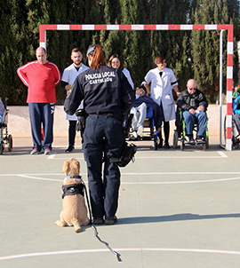 Ronda de visitas de la Unidad Canina de la Policía Local de Castellón