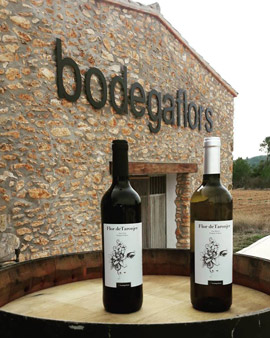 Nueva añada de la Bodega Vicente Flors de Les Useres