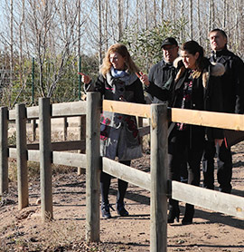 Nuevas medidas para mejorar la seguridad del Molí la Font de Castellón