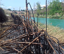 Un incendio quema 200 metros cuadrados de vegetación en el Paisaje Protegido de la Desembocadura del río Mijares
