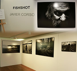 FISHSHOT, proyecto documental de Javier Corso en el Museo de Bellas Artes de Castellón