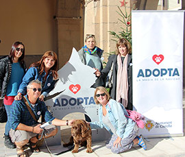 El Ayuntamiento de Castellón gana el primer premio por un vídeo en favor de la adopción de mascotas