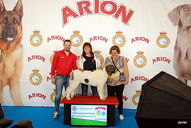 Campeonato de Belleza Canina, este fin de semana en Castellón