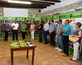 Inauguración de la exposición 'Oliveres Milenàries' de la Taula del Sénia en Castell de Cabres