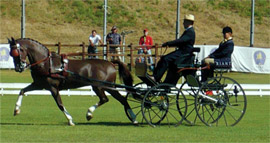 Campeonato de enganches de la Comunidad Valenciana