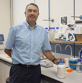 La modificación química de la colchicina, permite convertirla en un potencial agente terapéutico anticanceroso