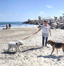 La playa para mascotas permanecerá abierta hasta marzo