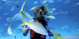 Bautismo de buceo en Swimming Espai