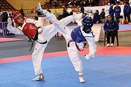 Campeonato de Europa de Taekwondo 2018  en Marina d´Or