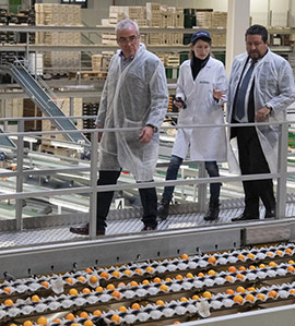 La Diputación de Castellón invierte 987.000 euros para impulsar el consumo de productos agroalimentarios de la provincia