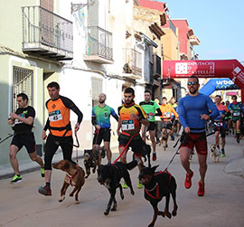 11 competiciones este fin de semana con ´Castellón Escenario Deportivo´