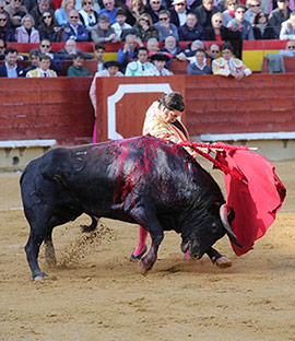 Perera, Morante y El Juli en la Feria de la Magdalena