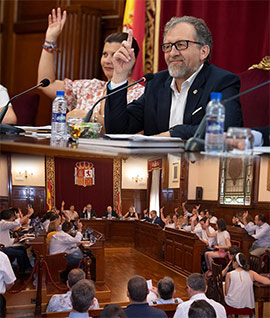 El pleno de la Diputación aprueba una Declaración Institucional sobre la erradicación de mosquitos