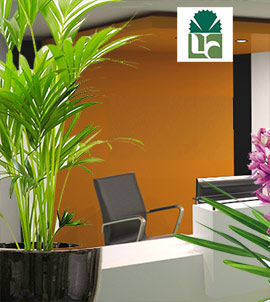 Decora con flores y plantas también en tu oficina
