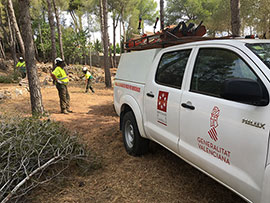 Desbroce y limpieza de cunetas del vial Cabanes-Oropesa