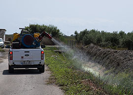 El Plan Provincial Antimosquitos de la Diputación de Castellón funciona satisfactoriamente
