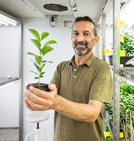 La UJI contribuirá al diseño de modelos de gestión integrada de plagas en escenarios de cambio climático