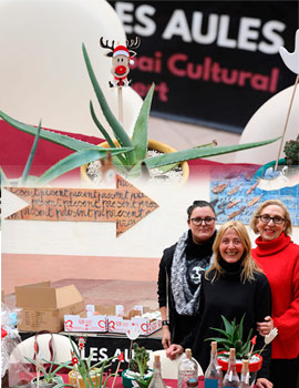 El mercado solidario del alumnado del centro de educación especial Penyeta Roja en Las Aulas