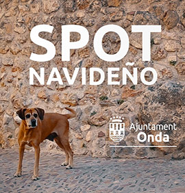 El vídeo de Navidad del Ayuntamiento de Onda se convierte en viral y consigue repercusión nacional sobre la adopción de animales