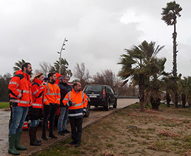 Castelló remite al Gobierno el informe de daños del temporal Gloria para optar a las ayudas